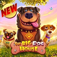 The Big Dog House